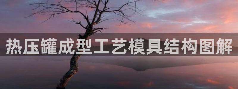 易倍申的价格