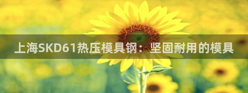 四川易倍易企业管理有限公司