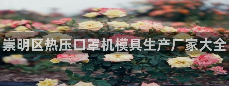 易倍申和易倍清的区别