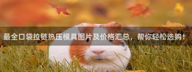 易倍单词app下载