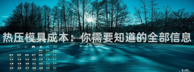 易倍易趣网：热压模具成本：你需要知道的全部信息
