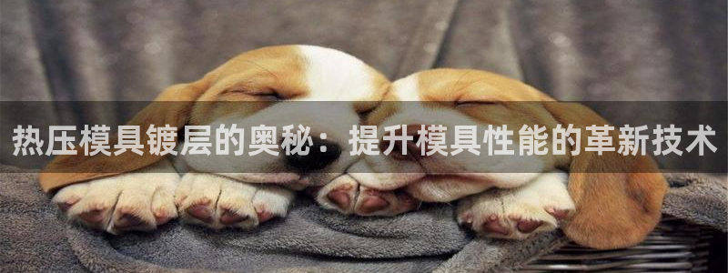 易倍单词登录平台