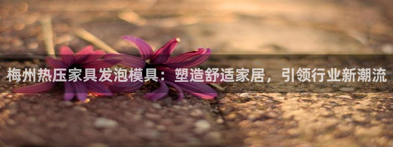 emc app下载