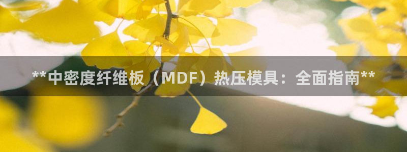 emc软件下载：**中密度纤维板（MDF）热压模具：全面