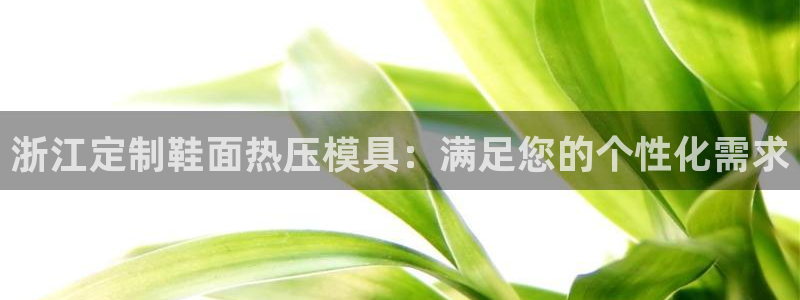 易倍电竞安装教程：浙江定制鞋面热压模具：满足您的个性化需
