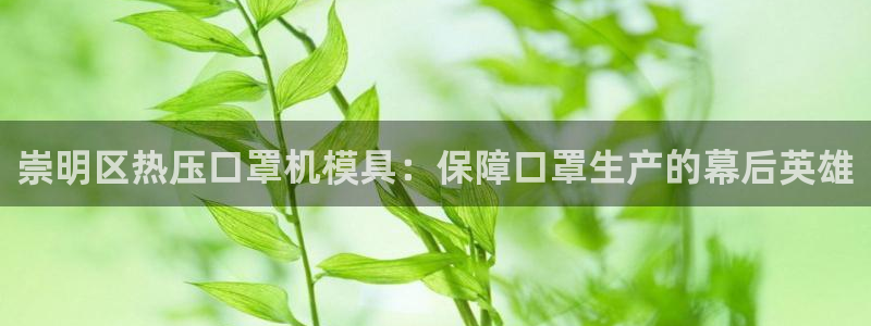 易倍申生产厂家
