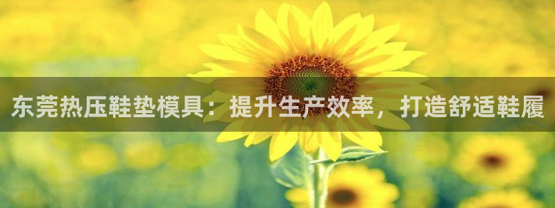 易倍emc安全吗