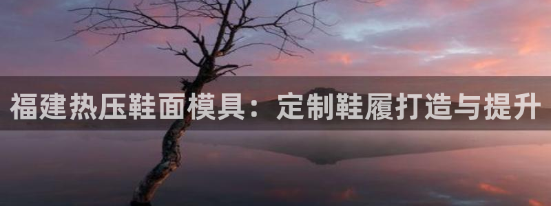 易倍科华生物科技有限公司：福建热压鞋面模具：定制鞋履打造