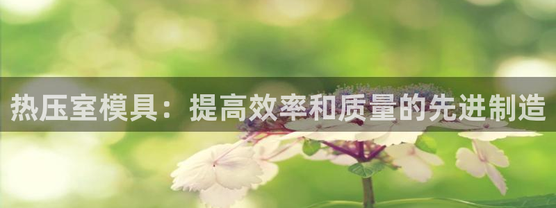 易倍纤多少钱：热压室模具：提高效率和质量的先进制造