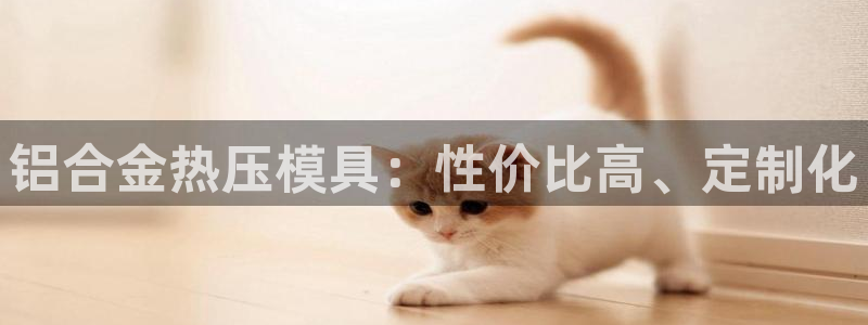 易倍下载手机版：铝合金热压模具：性价比高、定制化