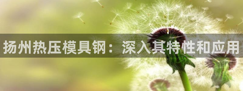 emc mcu：扬州热压模具钢：深入其特性和应用