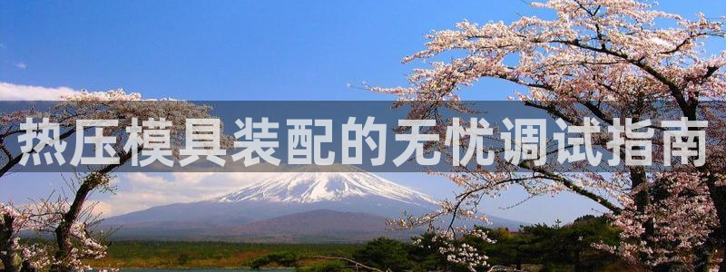杭州易倍达科技有限公司怎么样
