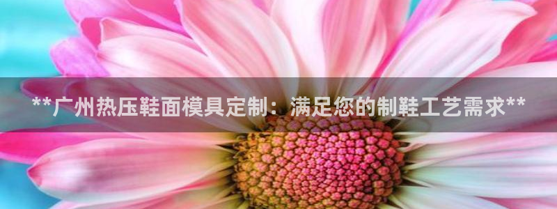 EMC易倍官方平台：**广州热压鞋面模具定制：满足您的制