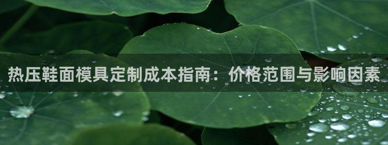 易倍单词官方网站下载：热压鞋面模具定制成本指南：价格范围