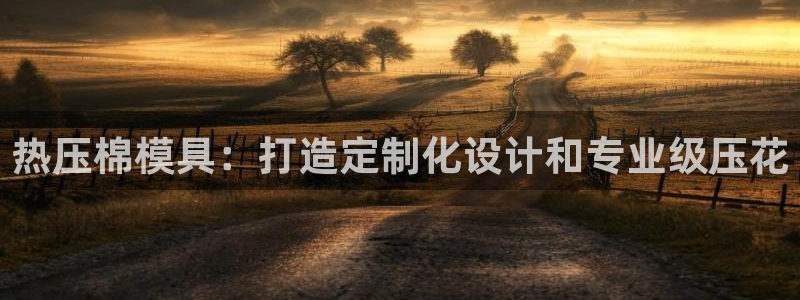 易倍申片说明书：热压棉模具：打造定制化设计和专业级压花