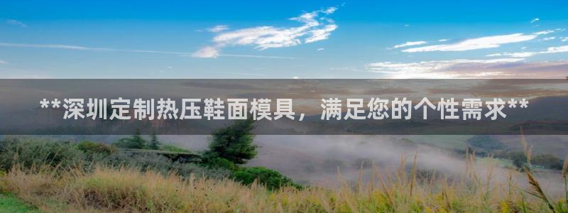 emc mcu：**深圳定制热压鞋面模具，满足您的个性需