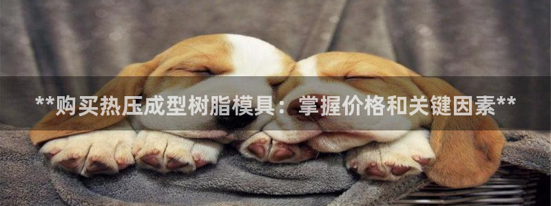 emc易倍官方：**购买热压成型树脂模具：掌握价格和关键
