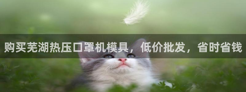 易倍申片