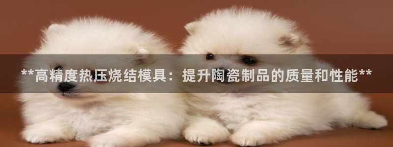 EMC易倍官网招聘：**高精度热压烧结模具：提升陶瓷制品
