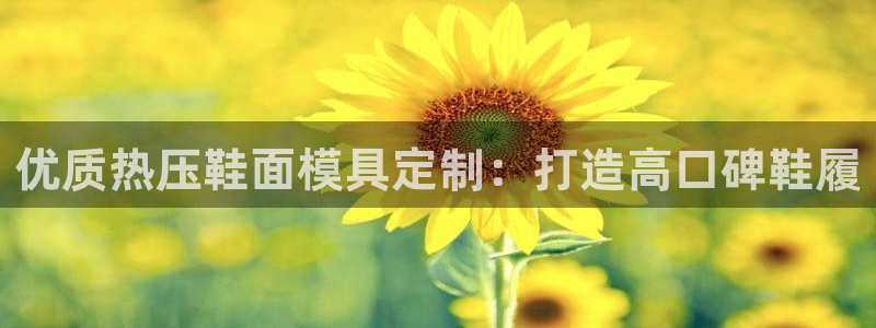 emc易倍的服务优势