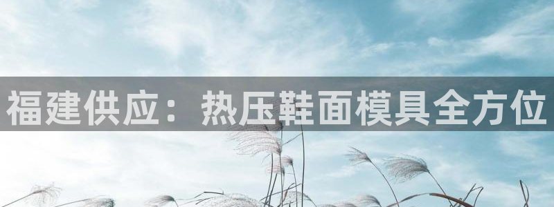 易倍纤多少钱