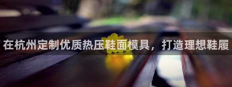 易倍纤官网：在杭州定制优质热压鞋面模具，打造理想鞋履