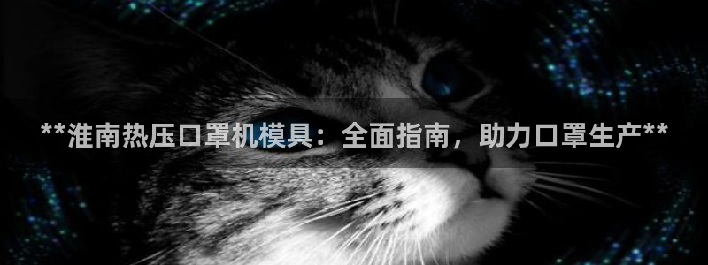 emc易倍官方：**淮南热压口罩机模具：全面指南，助力口