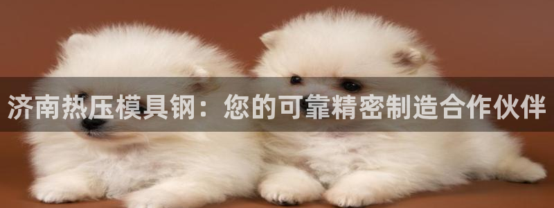 emc32软件：济南热压模具钢：您的可靠精密制造合作伙伴