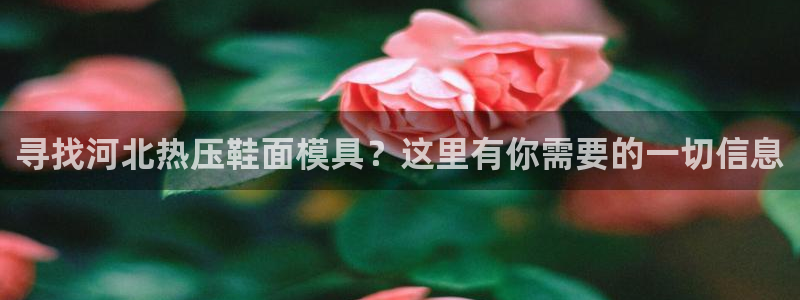 emc易倍官方：寻找河北热压鞋面模具？这里有你需要的一切
