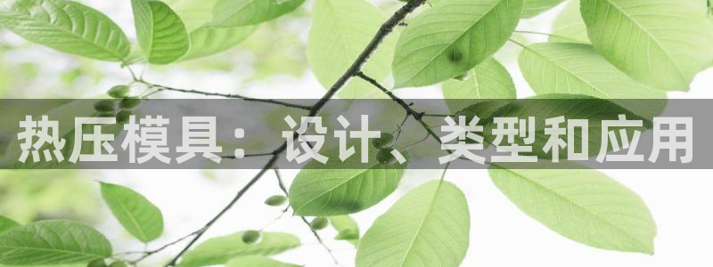 emc备份软件：热压模具：设计、类型和应用