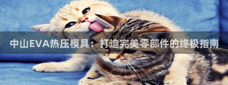 易倍纤奶昔减肥效果怎么样：中山EVA热压模具：打造完美零