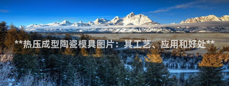 易倍申效果怎么样：**热压成型陶瓷模具图片：其工艺、应用