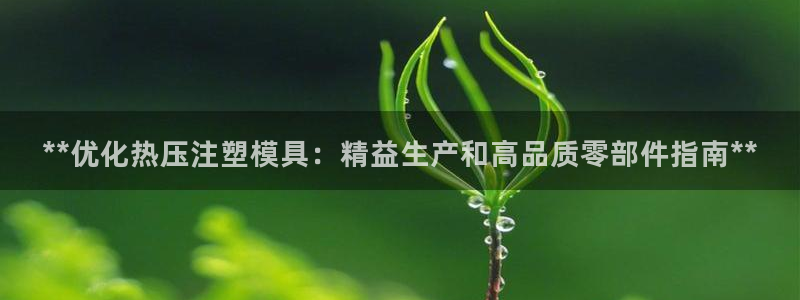 emc登录网站：**优化热压注塑模具：精益生产和高品质零