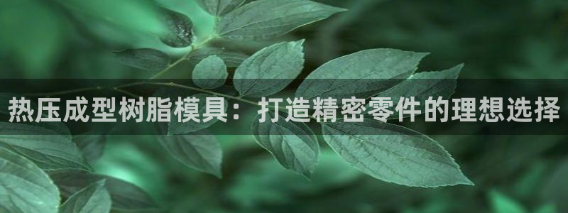 emc易倍黑吗：热压成型树脂模具：打造精密零件的理想选择