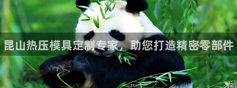emc易倍老板