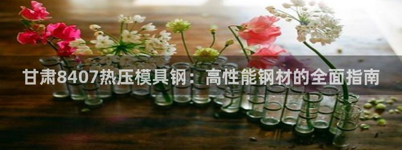易倍达科技有限公司招聘：甘肃8407热压模具钢：高性能钢