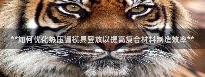 emc参数：**如何优化热压罐模具叠放以提高复合材料制造