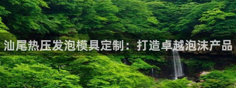 emc易倍怎么样：汕尾热压发泡模具定制：打造卓越泡沫产品