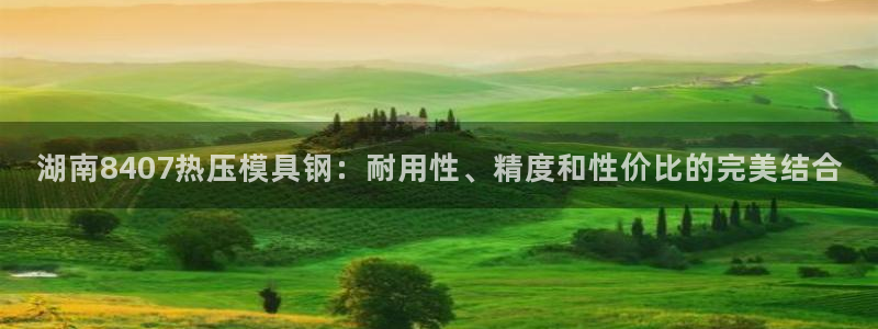 易倍申厂家：湖南8407热压模具钢：耐用性、精度和性价比