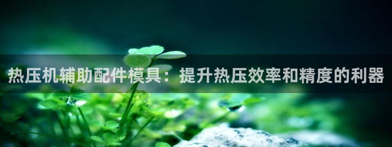 emc易倍官网登录入口：热压机辅助配件模具：提升热压效率
