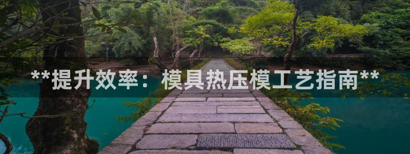emc全站app下载：**提升效率：模具热压模工艺指南*