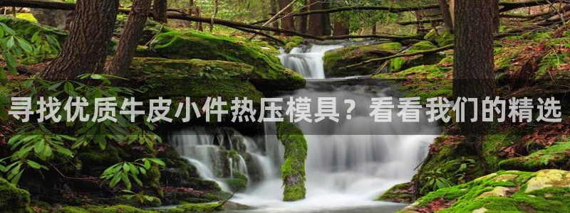 emc易倍是黑台子吗