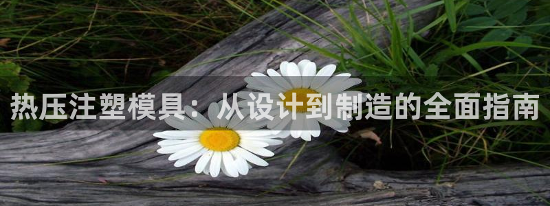 易倍emc网址网页版本登陆：热压注塑模具：从设计到制造的