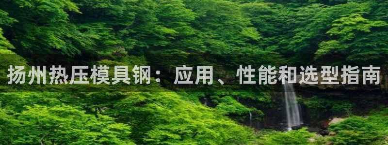 易倍康简历