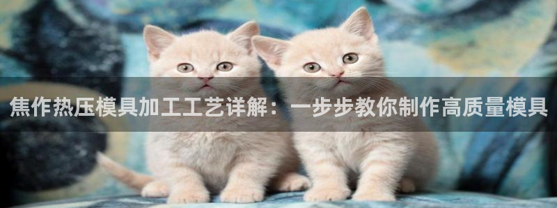 emc低频：焦作热压模具加工工艺详解：一步步教你制作高质