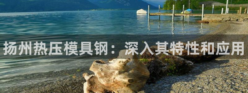 emc频率：扬州热压模具钢：深入其特性和应用