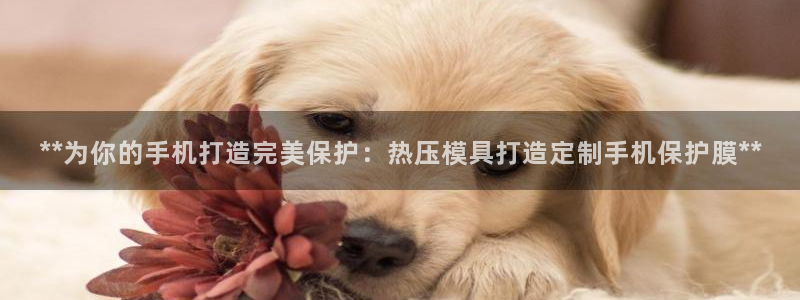 emc易倍官网app：**为你的手机打造完美保护：热压模