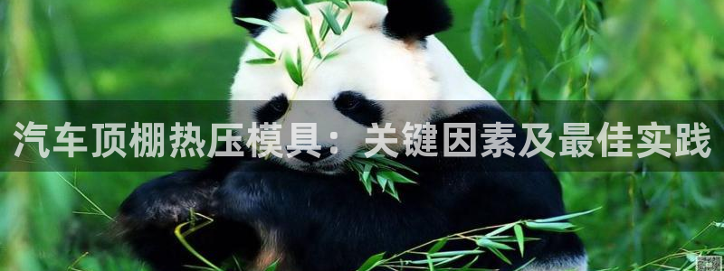 emc全站app下载