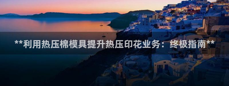 易倍网络技术有限公司怎么样：**利用热压棉模具提升热压印