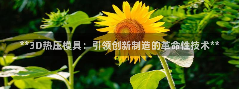 易倍申片的功效与作用：**3D热压模具：引领创新制造的革